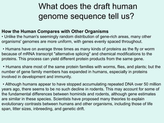 What does the draft human
genome sequence tell us?
How the Human Compares with Other Organisms
• Unlike the human's seemingly random distribution of gene-rich areas, many other
organisms' genomes are more uniform, with genes evenly spaced throughout.
• Humans have on average three times as many kinds of proteins as the fly or worm
because of mRNA transcript "alternative splicing" and chemical modifications to the
proteins. This process can yield different protein products from the same gene.
• Humans share most of the same protein families with worms, flies, and plants; but the
number of gene family members has expanded in humans, especially in proteins
involved in development and immunity.
• Although humans appear to have stopped accumulating repeated DNA over 50 million
years ago, there seems to be no such decline in rodents. This may account for some of
the fundamental differences between hominids and rodents, although gene estimates
are similar in these species. Scientists have proposed many theories to explain
evolutionary contrasts between humans and other organisms, including those of life
span, litter sizes, inbreeding, and genetic drift.
 