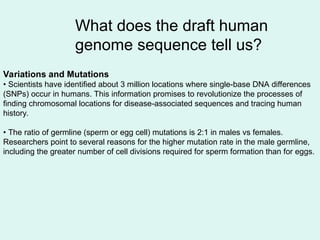 What does the draft human
genome sequence tell us?
Variations and Mutations
• Scientists have identified about 3 million locations where single-base DNA differences
(SNPs) occur in humans. This information promises to revolutionize the processes of
finding chromosomal locations for disease-associated sequences and tracing human
history.
• The ratio of germline (sperm or egg cell) mutations is 2:1 in males vs females.
Researchers point to several reasons for the higher mutation rate in the male germline,
including the greater number of cell divisions required for sperm formation than for eggs.
 