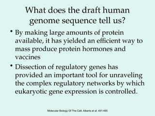 What does the draft human
genome sequence tell us?
• By making large amounts of protein
available, it has yielded an efficient way to
mass produce protein hormones and
vaccines
• Dissection of regulatory genes has
provided an important tool for unraveling
the complex regulatory networks by which
eukaryotic gene expression is controlled.
Molecular Biology Of The Cell. Alberts et al. 491-495
 