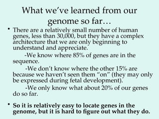 What we’ve learned from our
genome so far…
• There are a relatively small number of human
genes, less than 30,000, but they have a complex
architecture that we are only beginning to
understand and appreciate.
-We know where 85% of genes are in the
sequence.
-We don’t know where the other 15% are
because we haven’t seen them “on” (they may only
be expressed during fetal development).
-We only know what about 20% of our genes
do so far.
• So it is relatively easy to locate genes in the
genome, but it is hard to figure out what they do.
 