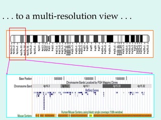 . . . to a multi-resolution view . . .
 