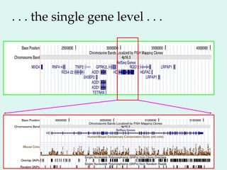 . . . the single gene level . . .
 
