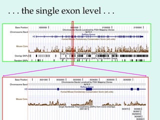 . . . the single exon level . . .
 