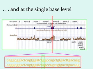 . . . and at the single base level
caggcggactcagtggatctggccagctgtgacttgacaag
caggcggactcagtggatctagccagctgtgacttgacaag
 