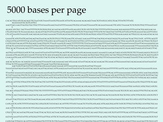 CACACTTGCATGTGAGAGCTTCTAATATCTAAATTAATGTTGAATCATTATTCAGAAACAGAGAGCTAACTGTTATCCCATCCTGACTTTATTCTTTATG
AGAAAAATACAGTGATTCC
AAGTTACCAAGTTAGTGCTGCTTGCTTTATAAATGAAGTAATATTTTAAAAGTTGTGCATAAGTTAAAATTCAGAAATAAAACTTCATCCTAAAACTCTGTGTGTTGCTTTAAATAAT
C
AGAGCATCTGC TACTTAATTTTTTGTGTGTGGGTGCACAATAGATGTTTAATGAGATCCTGTCATCTGTCTGCTTTTTTATTGTAAAACAGGAGGGGTTTTAATACTGGAGGAACAA
CTGATGTACCTCTGAAAAGAGA AGAGATTAGTTATTAATTGAATTGAGGGTTGTCTTGTCTTAGTAGCTTTTATTCTCTAGGTACTATTTGATTATGATTGTGAAAATAGAATTTATCC
CTCATTAAATGTAAAATCAACAGGAGAATAGCAAAAACTTATGAGATAGATGAACGTTGTGTGAGTGGCATGGTTTAATTTGTTTGGAAGAAGCACTTGCCCCAGAAGATACACAA
T
GAAATTCATGTTATTGAGTAGAGTAGTAATACAGTGTGTTCCCTTGTGAAGTTCATAACCAAGAATTTTAGTAGTGGATAGGTAGGCTGAATAACTGACTTCCTATC ATTTTCAGGTT
CTGCGTTTGATTTTTTTTACATATTAATTTCTTTGATCCACATTAAGCTCAGTTATGTATTTCCATTTTATAAATGAAAAAAAATAGGCACTTGCAAATGTCAGATCACTTGCCTGTGGT
CATTCGGGTAGAGATTTGTGGAGCTAAGTTGGTCTTAATCAAATGTCAAGCTTTTTTTTTTCTTATAAAATATAGGTTTTAATATGAGTTTTAAAATAAAATTAATTAGAAAAAGGCAA
ATTACTCAATATATATAAGGTATTGCATTTGTAATAGGTAGGTATTTCATTTTCTAGTTATGGTGGGATATTATTCAGACTATAATTCCCAATGAAAAAACTTTAAAAAATGCTAGTGA
TTGCACACTTAAAACACCTTTTAAAAAGCATTGAGAGCTTATAAAATTTTAATGAGTGATAAAACCAAATTTGAAGAGAAAAGAAGAACCCAGAGAGGTAAGGATATAACCTTAC
C
AGTTGCAATTTGCCGATCTCTACAAATATTAATATTTATTTTGACAGTTTCAGGGTGAATGAGAAAGAAACCAAAACCCAAGACTAGCATATGTTGTCTTCTTAAGGAGCCCTCCCCT
AAAAGATTGAGATGACCAAATCTTATACTCTCAGCATAAGGTGAACCAGACAGACCTAAAGCAGTGGTAGCTTGGATCCACTACTTGGGTTTGTGTGTGGCGTGACTCAGGTAATCT
CAAGAATTGAACATTTTTTTAAGGTGGTCCTACTCATACACTGCCCAGGTATTAGGGAGAAGCAAATCTGAATGCTTTATAAAAATACCCTAAAGCTAAATCTTACAATATTCTCAA
G
AACACAGTGAA ACAAGGCAAAATAAGTTAAAATCAACAAAAACAACATGAAACATAATTAGACACACAAAGACTTCAAACATTGGAAAATACCAGAGAAAGATAATAAATAT
TTTACTCTTTAAAAATTTAGTTAAAAGCTTAAACTAATTGTAGAGAAAA
AACTATGTTAGTATTATATTGTAGATGAAATAAGCAAAACATTTAAAATACAAATGTGATTACTTAAAT
TAAATATAATAGATAATTTACCACCAGATTAGATACCATTGAAGGAATAATTAATATACTGAAATACAGGTCAGTAGAATTTTTTTCAATTCAGCATGGAGATGTAAAAAATGAAA
A
TTAATGCAAAAAATAAGGGCACAAAAAGAAATGAGTAATTTTGATCAGAAATGTATTAAAATTAATAAACTGGAAATTTGACATTTAAAAAAAGCATTGTCATCCAAGTAGATGTG
TCTATTAAATAGTTGTTCTCATATCCAGTAATGTAATTATTATTCCCTCTCATGCAGTTCAGATTCTGGGGTAATCTTTAGACATCAGTTTTGTCTTTTATATTATTTATTCTGTTTACTAC
ATTTTATTTTGCTAATGATATTTTTAATTTCTGACATTCTGGAGTATTGCTTGTAAAAGGTATTTTTAAAAATACTTTATGGTTATTTTTGTGATTCCTATTCCTCTATGGACACCAAGGC
T
ATTGACATTTTCTTTGGTTTCTTCTGTTACTTCTATTTTCTTAGTGTTTATATCATTTCATAGATAGGATATTCTTTATTTTTTATTTTTATTTAAATATTTGGTGATTCTTGGTTTTCTCAGC
C
ATCTATTGTCAAGTGTTCTTATTAAGCATTATTATTAAATAAAGATTATTTCCTCTAATCACATGAGAATCTTTATTTCCCCCAAGTAATTGAAAATTGCAATGCCATGCTGCCATGTG
G
TACAGCATGGGTTTGGGCTTGCTTTCTTCTTTTTTTTTTAACTTTTATTTTAGGTTTGGGAGTACCTGTGAAAGTTTGTTATATAGGTAAACTCGTGTCACCAGGGTTTGTTGTACAGATC
A
TTTTGTCACCTAGGTACCAAGTACTCAACAATTATTTTTCCTGCTCCTCTGTCTCCTGTCACCCTCCACTCTCAAGTAGACTCCGGTGTCTGCTGTTCCATTCTTTGTGTCCATGTGTTCT
C
ATAATTTAGTTCCCCACTTGTAAGTGAGAACATGCAGTATTTTCTAGTATTTGGTTTTTTGTTCCTGTGTTAATTTGCCCAGTATAATAGCCTCCAGCTCCATCCATGTTACTGCAAAGA
A
CATGATCTCATTCTTTTTTATAGCTCCATGGTGTCTATATACCACATTTTCTTTATCTAAACTCTTATTGATGAGCATTGAGGTGGATTCTATGTCTTTGCTATTGTGCATATTGCTGCAA
G
AACATTTGTGTGCATGTGTCTTTATGGTAGAATGATATATTTTCTTCTGGGTATATATGCAGTAATGCGATTGCTGGTTGGAATGGTAGTTCTGCTTTTATCTCTTTGAGGAATTGCCAT
G
CTGCTTTCCACAATAGTTGAACTAACTTACACTCCCACTAACAGTGTGTAAGTGTTTCCTTTTCTCCACAACCTGCCAGCATCTGTTATTTTTTGACATTTTAATAGTAGCCATTTTAAC
T
GGTATGAAATTATATTTCATTGTGGTTTTAATTTGCATTTCTCTAATGATCAGTGATATTGAGTTTGTTTTTTTTCACATGCTTGTTGGCTGCATGTATGTCTTCTTTTAAAAAGTGTCTGT
T
CATGTACTTTGCCCACATTTTAATGGGGTTGTTTTTCTCTTGTAAATTTGTTTAAATTCCTTATAGGTGCTGGATTTTAGACATTTGTCAGACGCATAGTTTGCAAATAGTTTCTCCCATT
5000 bases per page
 