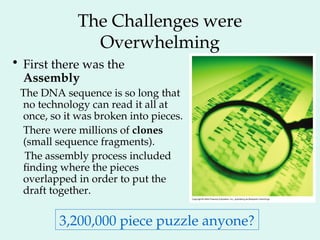 The Challenges were
Overwhelming
• First there was the
Assembly
The DNA sequence is so long that
no technology can read it all at
once, so it was broken into pieces.
There were millions of clones
(small sequence fragments).
The assembly process included
finding where the pieces
overlapped in order to put the
draft together.
3,200,000 piece puzzle anyone?
 