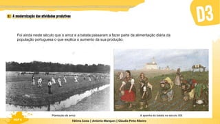 Fátima Costa | António Marques | Cláudia Pinto Ribeiro
HGP 6
Foi ainda neste século que o arroz e a batata passaram a fazer parte da alimentação diária da
população portuguesa o que explica o aumento da sua produção.
A apanha da batata no século XIX
Plantação de arroz
 