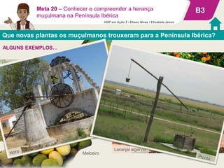 Que novas plantas os muçulmanos trouxeram para a Península Ibérica?
B3
Amendoeiras
Laranjal algarvio
Meta 20 – Conhecer e compreender a herança
muçulmana na Península Ibérica
Limoeiro
ALGUNS EXEMPLOS…
Meloeiro
HGP em Ação 5 • Eliseu Alves • Elisabete Jesus
 