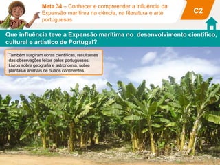 As viagens de descoberta despertaram muito a
curiosidade e mostraram novidades de espantar.
Surgiram, assim, algumas obras literárias,
científicas e artísticas.
Na literatura, destacou-se Luís de Camões, o
maior poeta da sua época. Os Lusíadas é a sua
obra mais importante, na qual narra a História de
Portugal e as grandes viagens de descoberta.
Luís Vaz de Camões, Os Lusíadas, 1572
Meta 34 – Conhecer e compreender a influência da
Expansão marítima na ciência, na literatura e arte
portuguesas
As armas e os barões assinalados
Que, da Ocidental praia Lusitana
Por mares nunca dantes navegados
Passaram ainda além da Taprobana
Em perigos e guerras esforçados
Mais do que prometia a força humana,
E entre gente remota edificaram
Novo Reino, que tanto sublimaram.
Que influência teve a Expansão marítima no desenvolvimento científico,
cultural e artístico de Portugal?
C2
Também surgiram obras científicas, resultantes
das observações feitas pelos portugueses.
Livros sobre geografia e astronomia, sobre
plantas e animais de outros continentes.
 