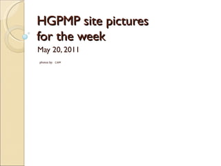 HGPMP site pictures for the week  May 20, 2011 photos by:   CAPP 