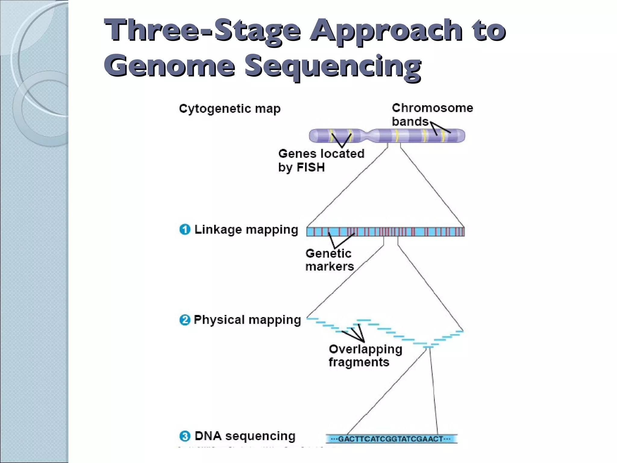 Three-Stage Approach to Genome Sequencing 