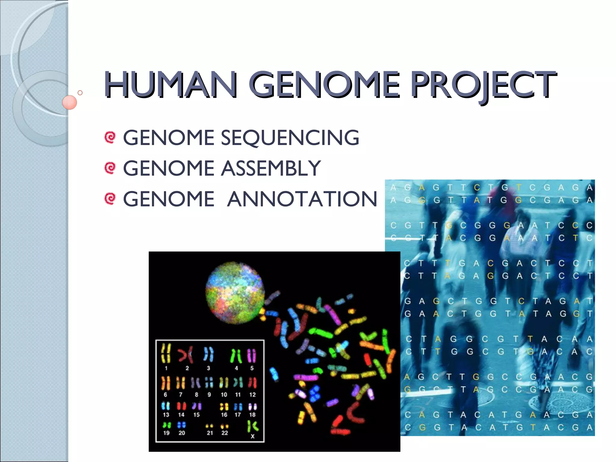 HUMAN GENOME PROJECT GENOME SEQUENCING GENOME ASSEMBLY GENOME  ANNOTATION 