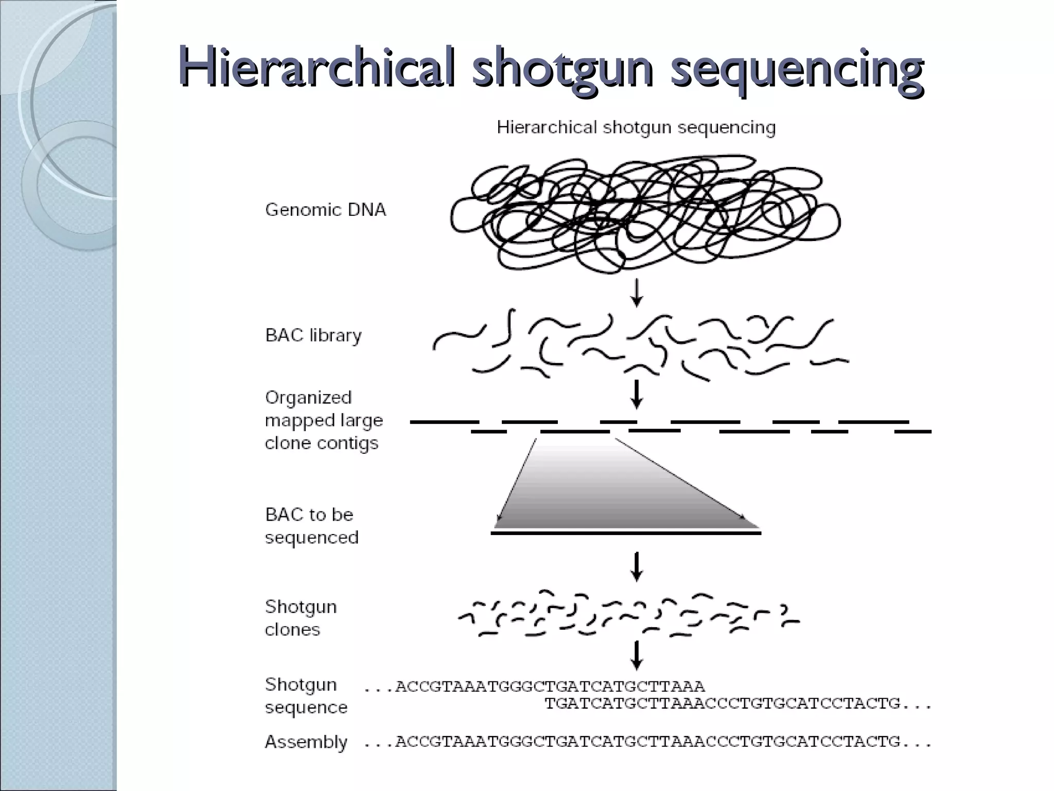 Hierarchical shotgun sequencing 