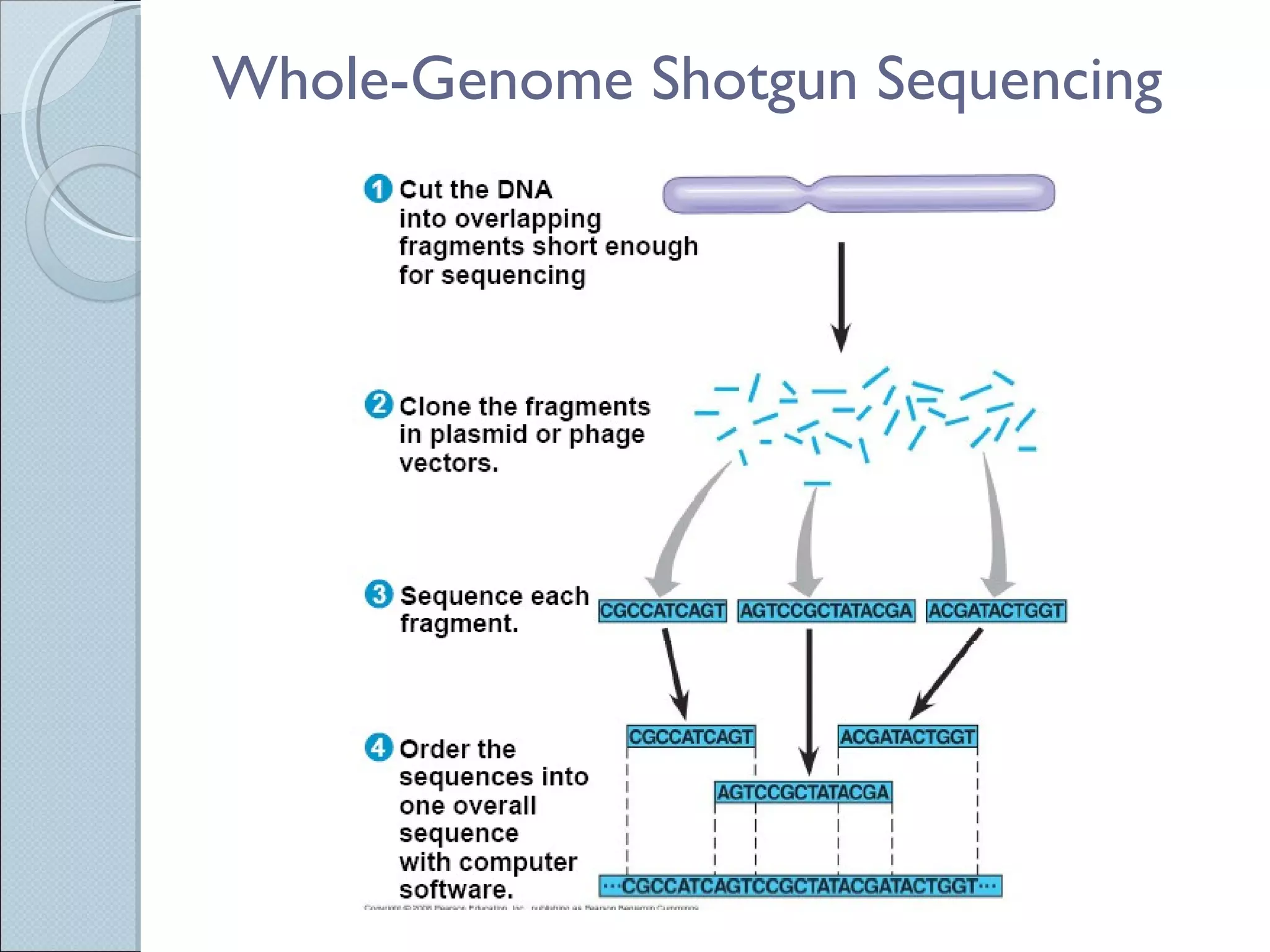 Whole-Genome Shotgun Sequencing 
