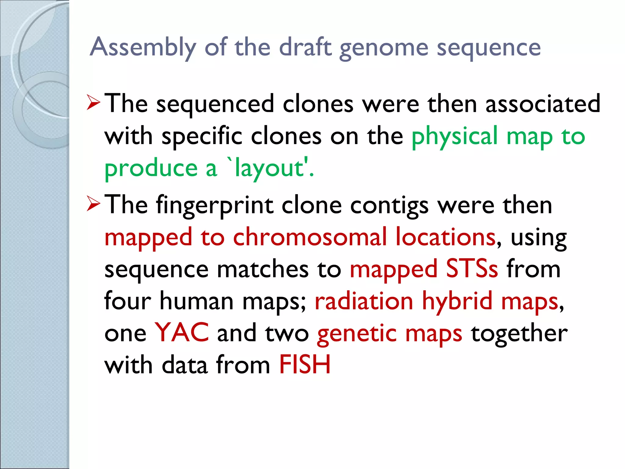 Assembly of the draft genome sequence The sequenced clones were then associated with specific clones on the  physical map to produce a `layout'.  The fingerprint clone contigs were then  mapped to chromosomal locations , using sequence matches to  mapped STSs  from four human maps;  radiation hybrid maps , one  YAC  and two  genetic maps  together with data from  FISH 