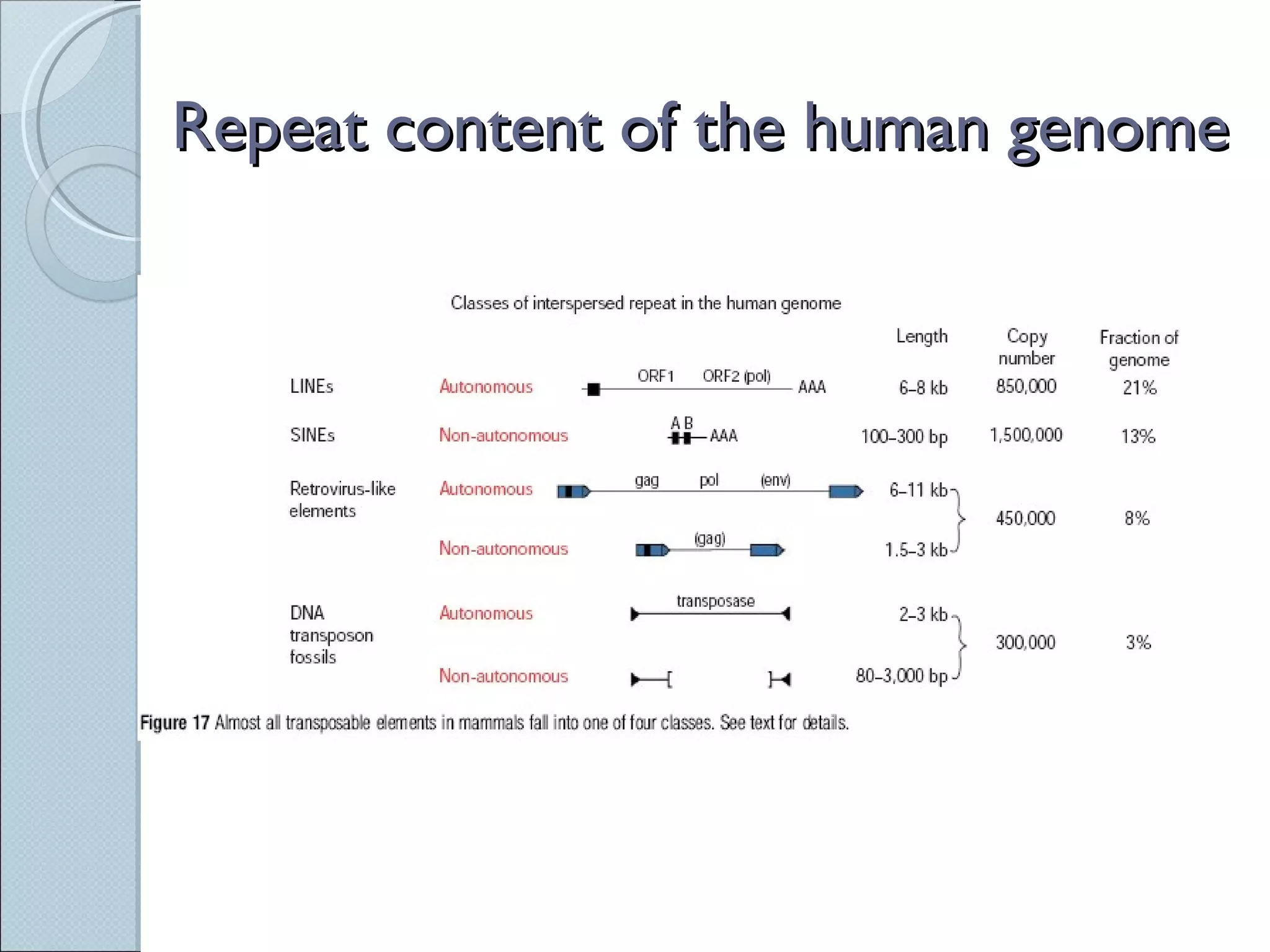 Repeat content of the human genome 