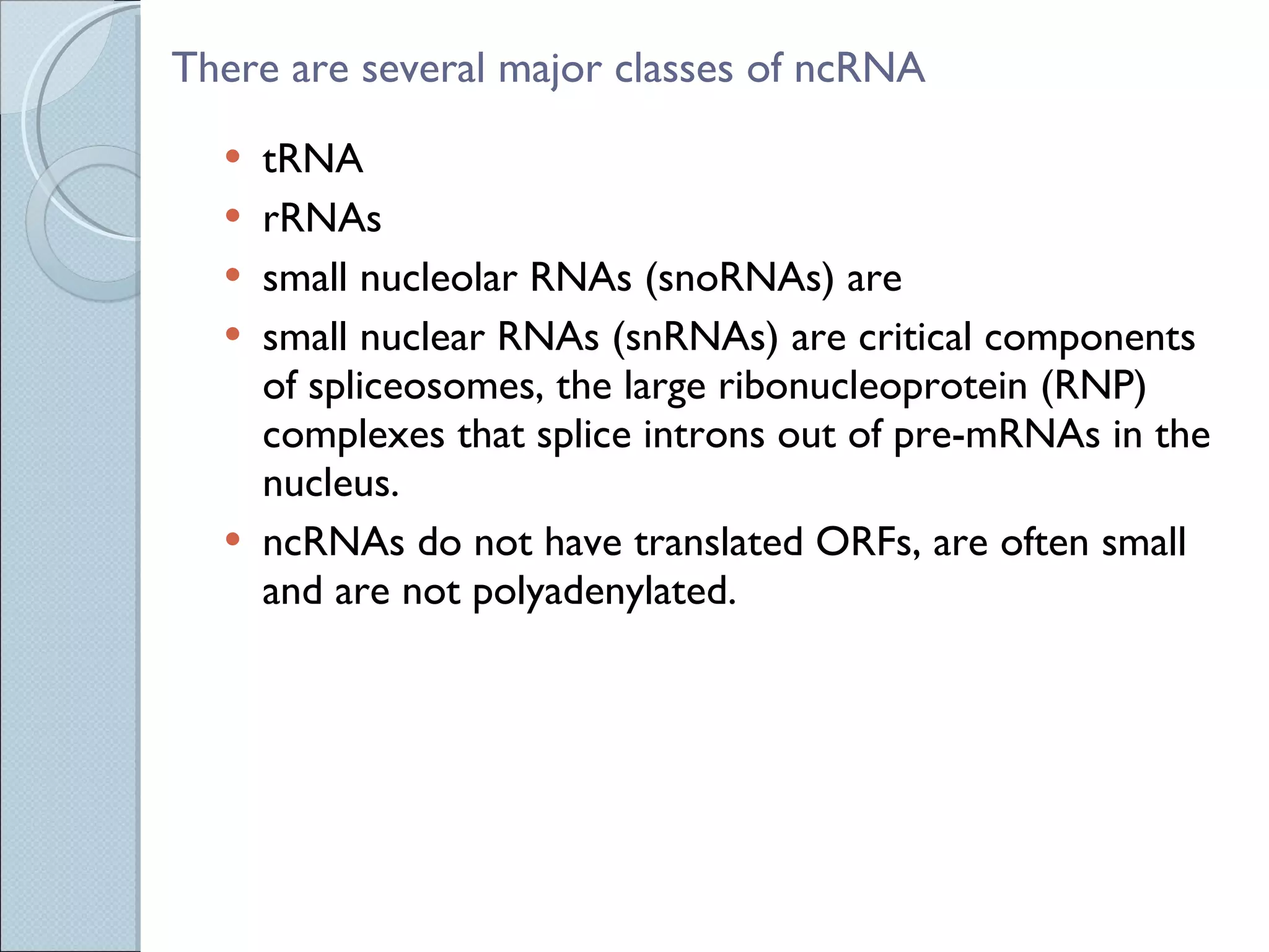 There are several major classes of ncRNA tRNA  rRNAs  small nucleolar RNAs (snoRNAs) are small nuclear RNAs (snRNAs) are critical components of spliceosomes, the large ribonucleoprotein (RNP) complexes that splice introns out of pre-mRNAs in the nucleus. ncRNAs do not have translated ORFs, are often small and are not polyadenylated. 