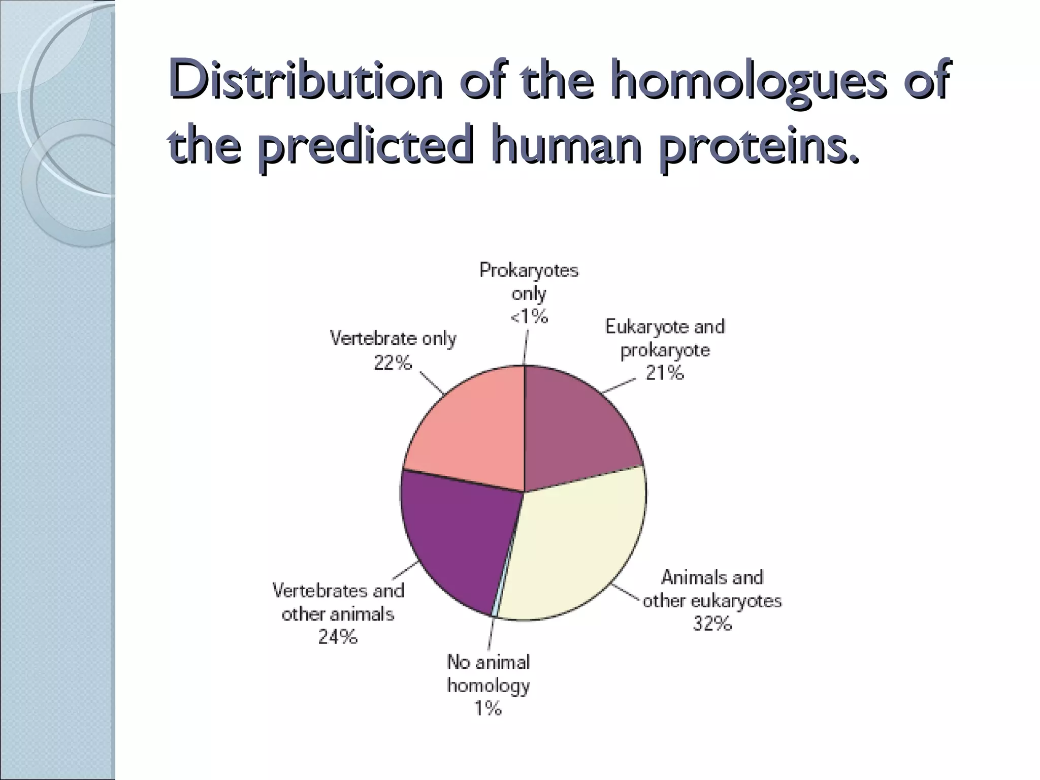 Distribution of the homologues of the predicted human proteins. 