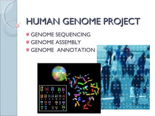 HUMAN GENOME PROJECT GENOME SEQUENCING GENOME ASSEMBLY GENOME  ANNOTATION 