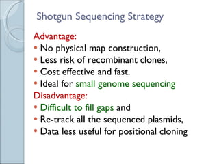 Shotgun Sequencing Strategy Advantage:  No physical map construction,  Less risk of recombinant clones,  Cost effective and fast.  Ideal for  small genome sequencing Disadvantage:  Difficult to fill gaps  and  Re-track all the sequenced plasmids,  Data less useful for positional cloning 