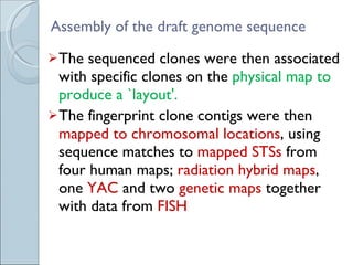 Assembly of the draft genome sequence The sequenced clones were then associated with specific clones on the  physical map to produce a `layout'.  The fingerprint clone contigs were then  mapped to chromosomal locations , using sequence matches to  mapped STSs  from four human maps;  radiation hybrid maps , one  YAC  and two  genetic maps  together with data from  FISH 