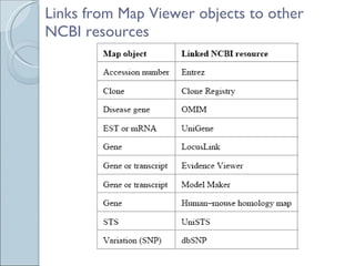 Links from Map Viewer objects to other NCBI resources 