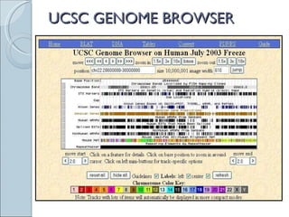 UCSC GENOME BROWSER 