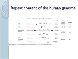Repeat content of the human genome 