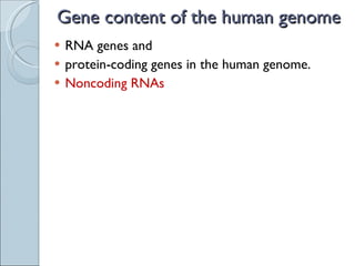 Gene content of the human genome RNA genes and protein-coding genes in the human genome. Noncoding RNAs 