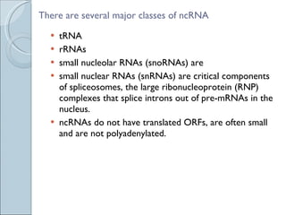 There are several major classes of ncRNA tRNA  rRNAs  small nucleolar RNAs (snoRNAs) are small nuclear RNAs (snRNAs) are critical components of spliceosomes, the large ribonucleoprotein (RNP) complexes that splice introns out of pre-mRNAs in the nucleus. ncRNAs do not have translated ORFs, are often small and are not polyadenylated. 