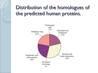 Distribution of the homologues of the predicted human proteins. 