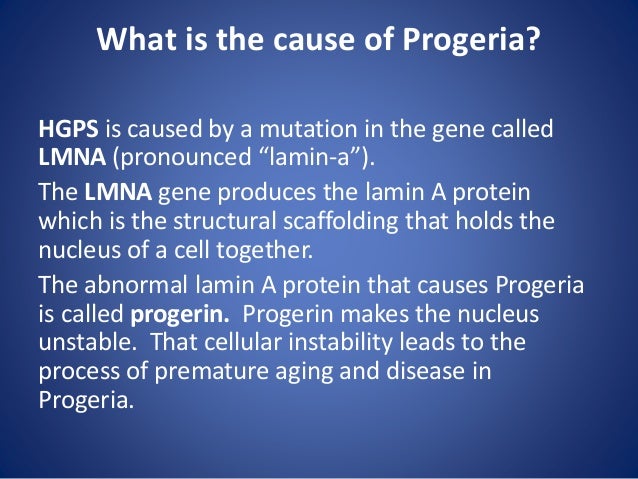 Essays on progeria syndrome