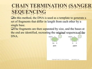 CHAIN TERMINATION (SANGER)
SEQUENCING
In this method, the DNA is used as a template to generate a
set of fragments that differ in length from each other by a
single base.
The fragments are then separated by size, and the bases at
the end are identified, recreating the original sequence of the
DNA.
 