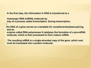 In the first step, the information in DNA is transferred to a
messenger RNA (mRNA) molecule by
way of a process called transcription. During transcription,

the DNA of a gene serves as a template for complementarybase-pairing,
and an
enzyme called RNA polymerase II catalyzes the formation of a pre-mRNA
molecule, which is then processed to form mature mRNA.
. The resulting mRNA is a single-stranded copy of the gene, which next
must be translated into a protein molecule.
 
