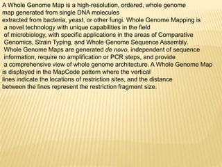 A Whole Genome Map is a high-resolution, ordered, whole genome
map generated from single DNA molecules
extracted from bacteria, yeast, or other fungi. Whole Genome Mapping is
a novel technology with unique capabilities in the field
of microbiology, with specific applications in the areas of Comparative
Genomics, Strain Typing, and Whole Genome Sequence Assembly.
Whole Genome Maps are generated de novo, independent of sequence
information, require no amplification or PCR steps, and provide
a comprehensive view of whole genome architecture. A Whole Genome Map
is displayed in the MapCode pattern where the vertical
lines indicate the locations of restriction sites, and the distance
between the lines represent the restriction fragment size.
 