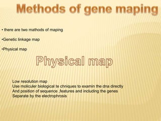 • there are two mathods of maping
•Genetic linkage map
•Physical map
Low resolution map
Use moliculer biological te chniques to examin the dna directly
And position of sequence ,features and including the genes
Separate by the electrophrosis
 