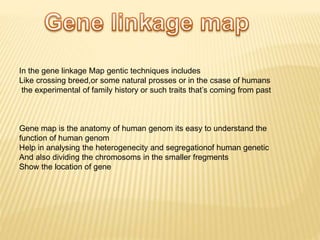 In the gene linkage Map gentic techniques includes
Like crossing breed,or some natural prosses or in the csase of humans
the experimental of family history or such traits that’s coming from past
Gene map is the anatomy of human genom its easy to understand the
function of human genom
Help in analysing the heterogenecity and segregationof human genetic
And also dividing the chromosoms in the smaller fregments
Show the location of gene
 
