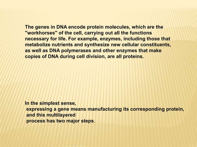 HGP The Human Genome Project