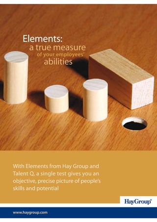 Elements:
       a true measure
           of your employees’
              abilities




With Elements from Hay Group and
Talent Q, a single test gives you an
objective, precise picture of people’s
skills and potential



www.haygroup.com
 