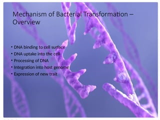 HGT Transformation and Transduction.pptx