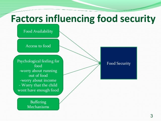 International Conference On Food Security And Nutrition International Conference On Food Security And Nutrition