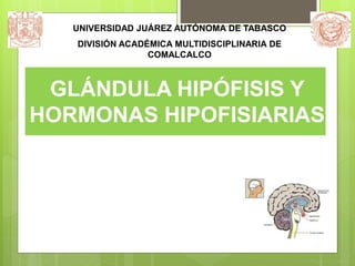 UNIVERSIDAD JUÁREZ AUTÓNOMA DE TABASCO 
DIVISIÓN ACADÉMICA MULTIDISCIPLINARIA DE 
COMALCALCO 
GLÁNDULA HIPÓFISIS Y 
HORMONAS HIPOFISIARIAS 
 