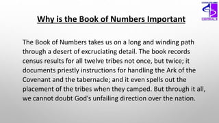 Why is the Book of Numbers Important
The Book of Numbers takes us on a long and winding path
through a desert of excruciating detail. The book records
census results for all twelve tribes not once, but twice; it
documents priestly instructions for handling the Ark of the
Covenant and the tabernacle; and it even spells out the
placement of the tribes when they camped. But through it all,
we cannot doubt God’s unfailing direction over the nation.
 