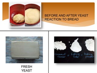 FRESH
YEAST
BEFORE AND AFTER YEAST
REACTION TO BREAD
 