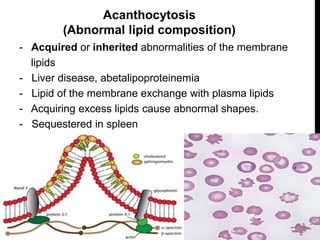 Hereditary Hemolytic Anemias | PPTX