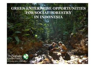 GREEN ENTERPRISE OPPORTUNITIES
FOR SOCIAL FORESTRY
IN INDONESIA
 