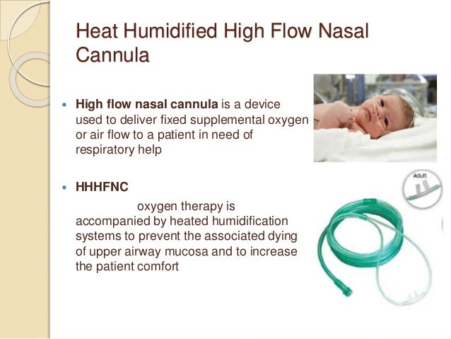 nasal prongs vs nasal cannula