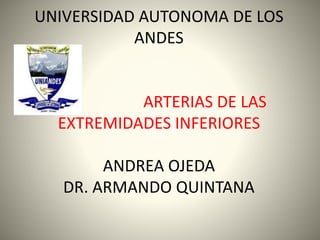 UNIVERSIDAD AUTONOMA DE LOS
ANDES
ARTERIAS DE LAS
EXTREMIDADES INFERIORES
ANDREA OJEDA
DR. ARMANDO QUINTANA
 