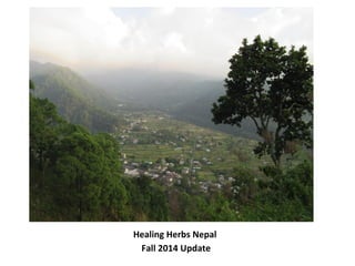 Healing Herbs Nepal 
Fall 2014 Update 
 