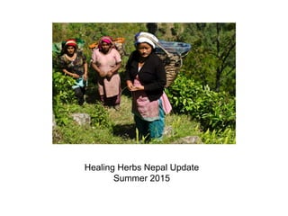 Healing Herbs Nepal Update
Summer 2015
 